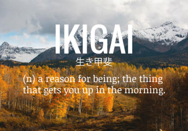 ikigai_citat