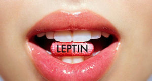 leptina hormon satietate